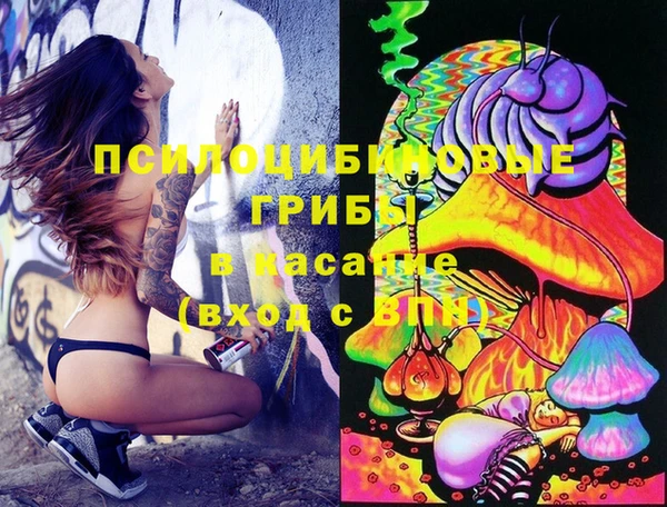 мескалин Михайлов
