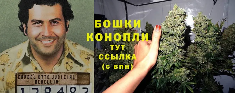 Бошки марихуана Ganja  Галич 